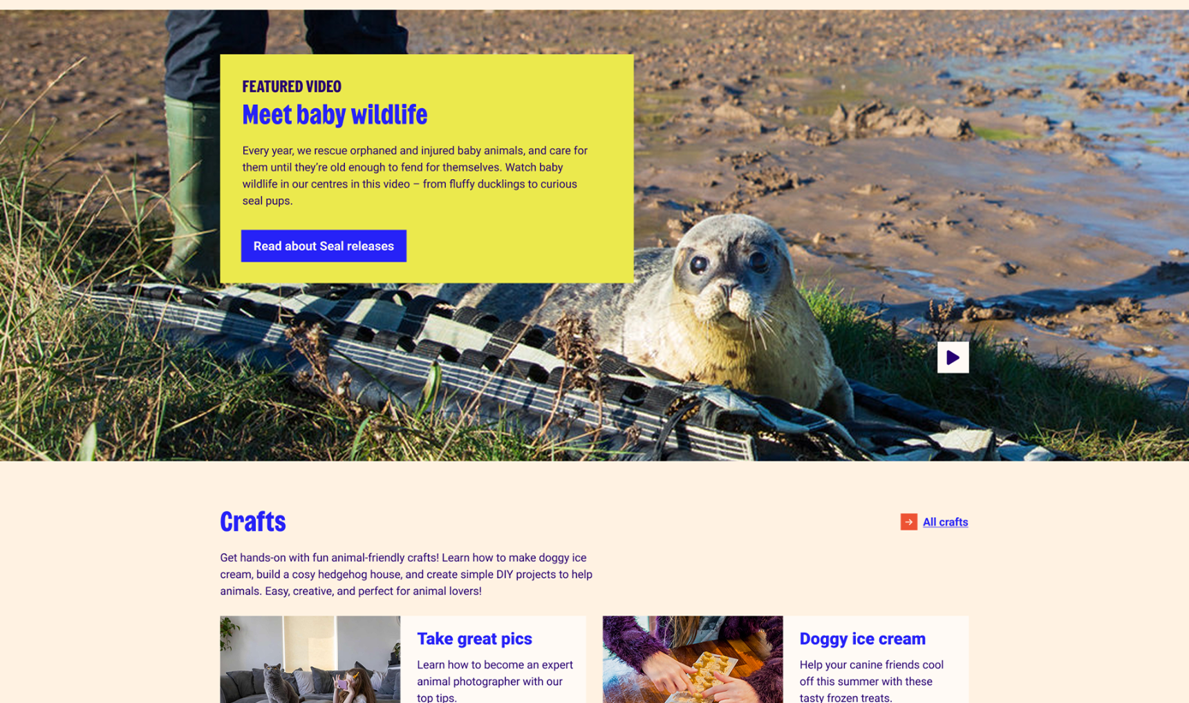 A template from inside the Liferay CMS, for stories